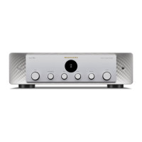 Marantz MODEL 60n (Silver Gold)