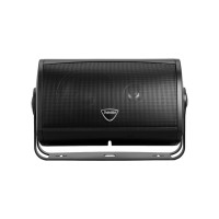Всепогодная акустика Definitive Technology AW 5500 Black
