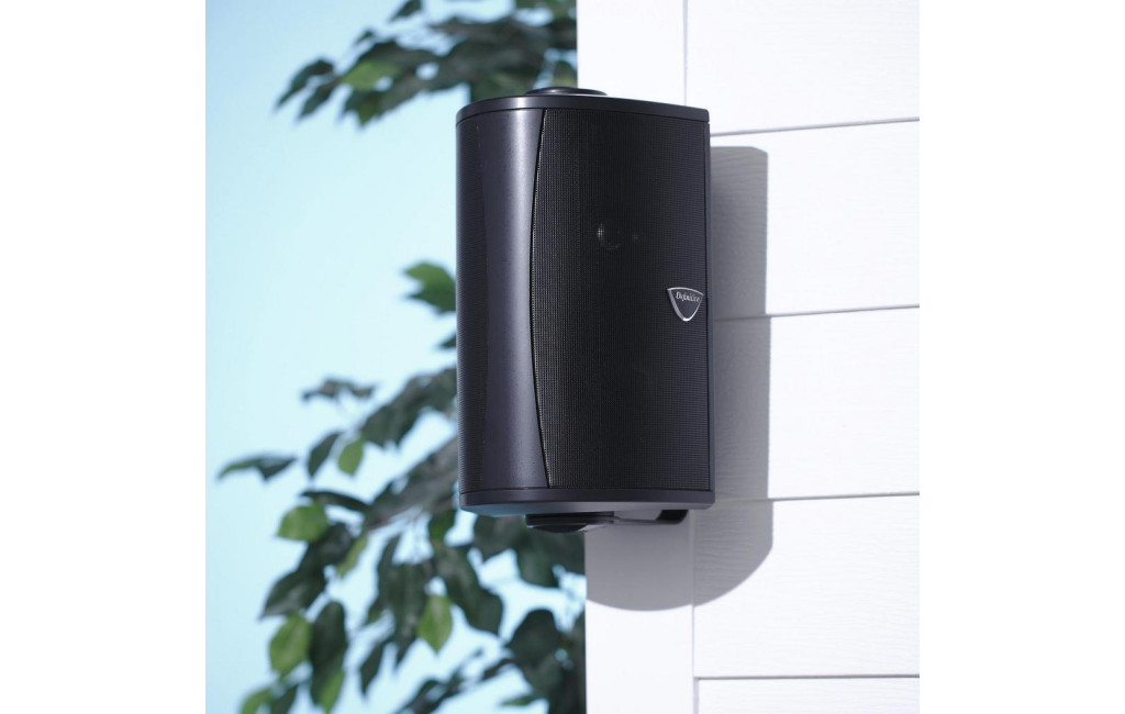 Всепогодная акустика Definitive Technology AW 5500 Black