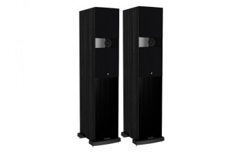 Підлогова Акустика Fyne Audio F302 Black Ash