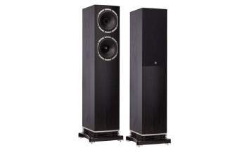 Підлогова Акустика Fyne Audio F501 Black Oak