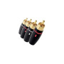 Кабелі Hi-Fi AUDIOQUEST RCA-300 set of 4 (комплект)