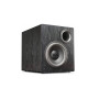 Сабвуфери SVS PB12-NSD Black