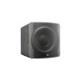 Сабвуфери SVS SB-3000 Black Ash