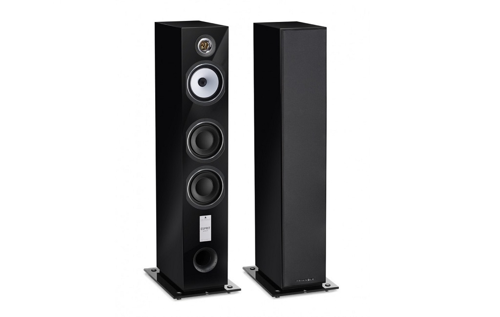 Підлогова Акустика Triangle ANTAL EZ Black