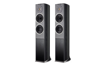 Підлогова Акустика Audiovector R3 Avantgarde Black Ash