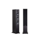Підлогова Акустика System Audio Saxo 60  Black