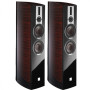 Напольная Акустика DALI Epicon 6 Ruby Macassar High Gloss
