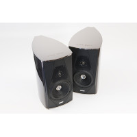 Полочна акустика SONUS FABER Guarneri Evolution