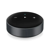 WiiM Mini