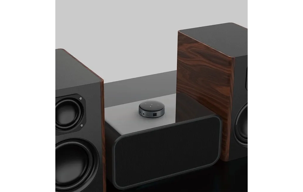 WiiM Mini
