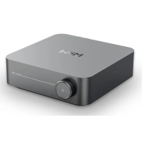 WiiM Amp Silver
