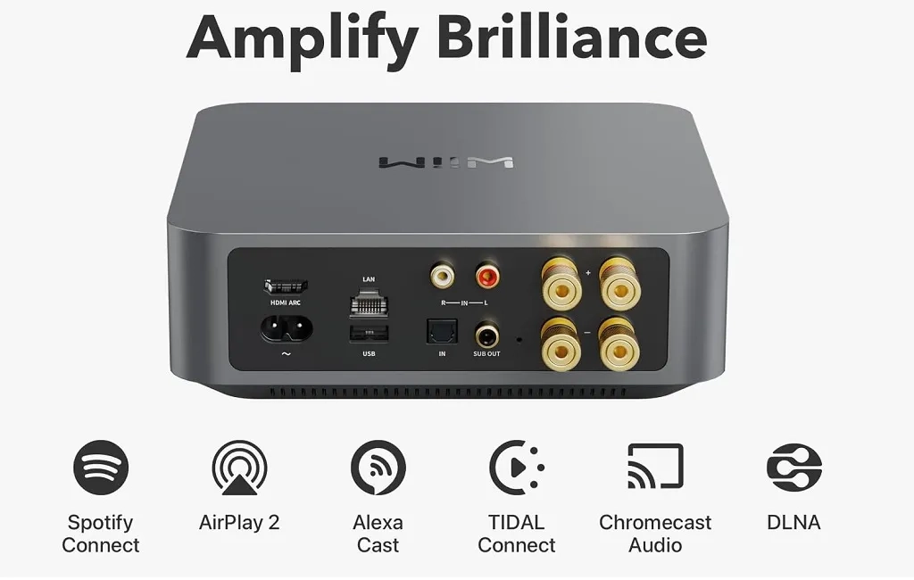 WiiM Amp Silver