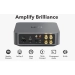 WiiM Amp Silver