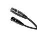 NorStone ARRAN XLR 2X1M