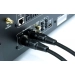 NorStone ARRAN XLR 2X1,5M