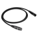 NorStone ARRAN XLR 2X1M