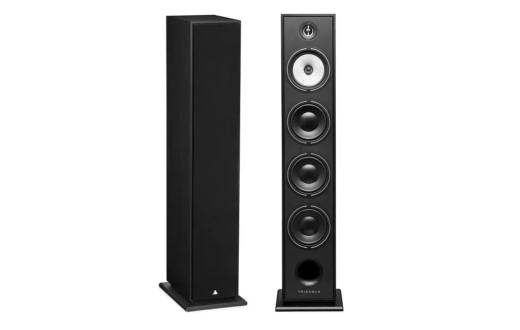 Підлогова Акустика Triangle Borea BR09 Black